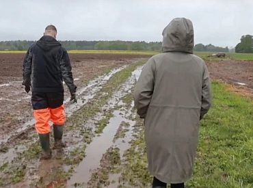 Фермеры теряют надежду на урожай картофеля — осенью цена на него может взлететь