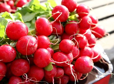 Gada inflācija maijā Latvijā samazinājusies līdz 3,6%
