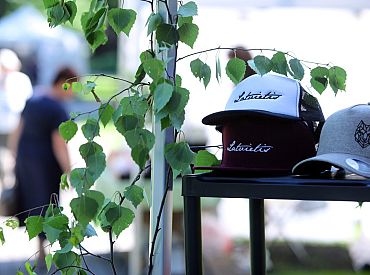 Latvijas iedzīvotāji svētkiem valsts mežos drīkst iegūt līdz piecām bērzu meijām