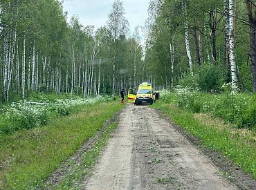 Шёл шатаясь, ноги в крови: гуляя по лесу в Баложи женщины обнаружили нелегального мигранта
