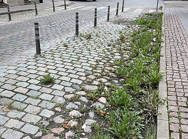 Сделаем Ригу хутором? Столбикам Стакиса нашлось неожиданное применение (ФОТО)