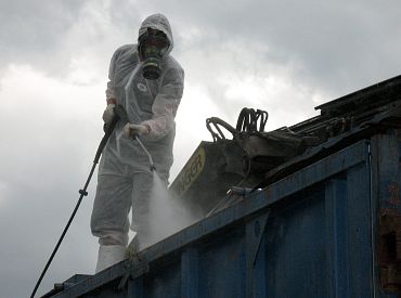 Все свиньи будут уничтожены: на ферме под Талси вспышка африканской чумы