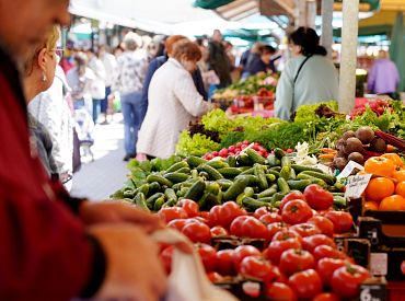 Сложилось впечатление, что они ищут новое место жительства: Лангу напугало фото с Центрального рынка
