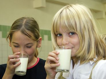 В Министерстве земледелия подвели итоги акции «Молоко и фрукты для школы»