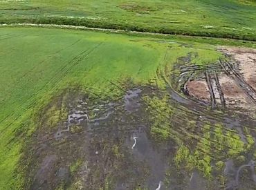 Латгальские фермы затапливает дождями: корма для скота — критически мало