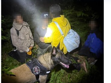 Бельгийская овчарка литовских пограничников помогла задержать нелегалов на латвийской границе