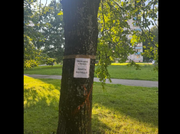 Не обошлось и без личных оскорблений: жители Иманты обещают встать в живую цепь ради спасения деревьев