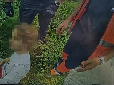 Упал в траву и нюхал цветочки: польский дальнобойщик в Латвии поймал нетрезвого водителя