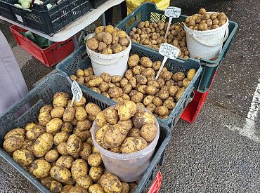Низкие цены на картофель: в чем тут подвох? Объясняет Ингуна Гулбе