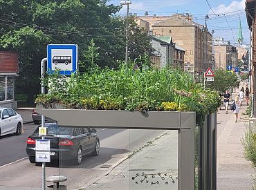 Здесь будет город-сад! Зеленые крыши и городские луга в Риге: для кого все это? (ФОТО)