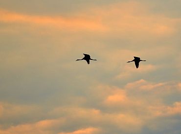 Nedēļas vidū gaidāma meteoroloģiskā rudens sākšanās