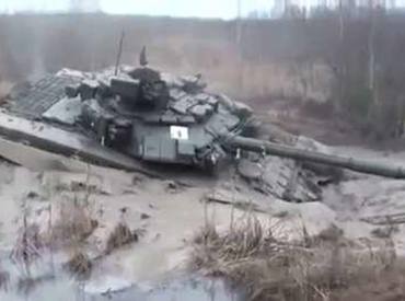 Politico: возвращение болот как оборонного щита Европы