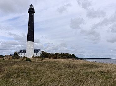 И даже этикетки там на русском! Журналист — о поездке в глубинку Эстонии (ФОТО)