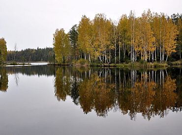Septembra izskaņa Latvijā nāks ar rudenīgāku laiku un pirmajām salnām