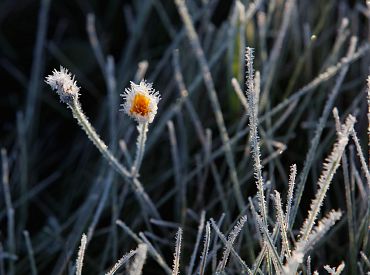 Naktī gaisa temperatūra vietām noslīdēs nedaudz zem nulles