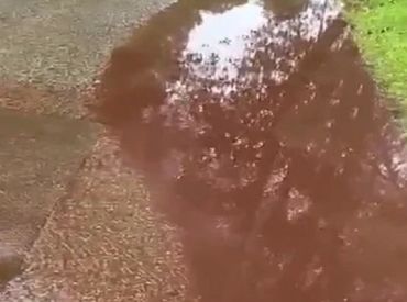 Жители в ужасе: из канализации хлынула красно-бурая жижа