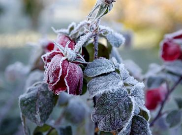 Naktī vietām Latvijas austrumos gaiss atdzisīs līdz -5 grādiem