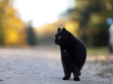 Холодно и сильный ветер: прогноз погоды на вторник