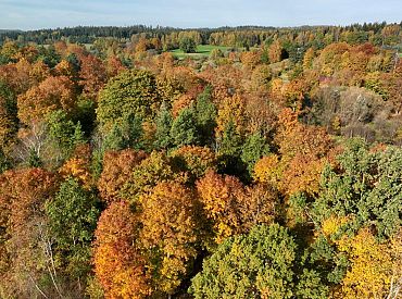 Oktobra vidū Latvijā saglabājies nedaudz vēsāks un sausāks laiks nekā ierasts