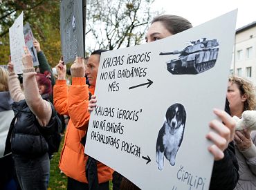 Нательные камеры полиции были выключены: подробности дела об убийстве трёх собак под Бауской