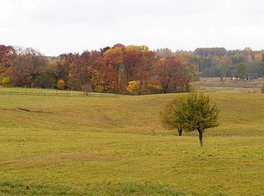 Sestdien vietām gaidāms lietus un arī pa kādai sniega pārslai