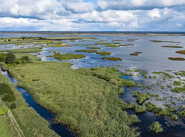 Евробраконьеры облюбовали Лиепайский заказник и попались инспекторам