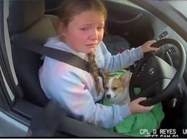 «Но мой щеночек умирает»: как должна действовать полиция, когда девочка в 12 лет садится за руль