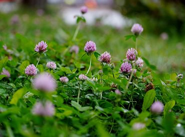 Сегодня «в основном» солнечно. Какая погода ждёт нас октябре?