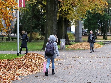 По году за каждый показ перед девочками —  в Риге задержали эксгибициониста