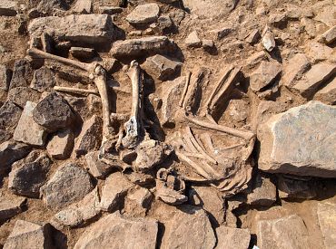 Что цивилизация будущего узнают о человечестве, если мы вымрем?