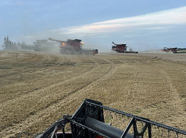LLKC: Vasaras kviešus pārtikas kvalitātē šogad ir izdevies nokult tikai Zemgalē un Vidzemē