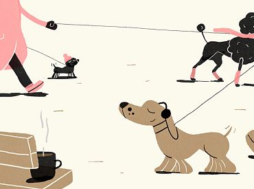 В Юрмалу — с четытёхлапыми! Куда можно, а куда нельзя