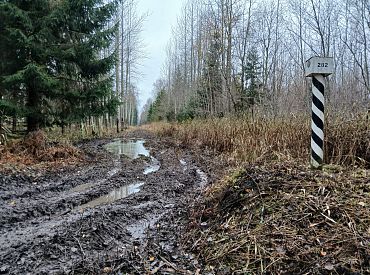 Штраф 200 евро: жители повадились гонять на квадроциклах вдоль границы