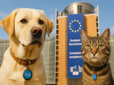 Евросоюз: все собаки и кошки должны быть чипированы и зарегистрированы