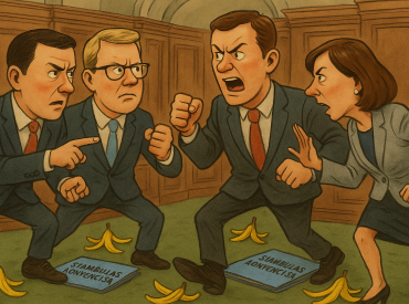 «Перекидываются виной, как банановой кожурой» — спор о Стамбульской конвенции