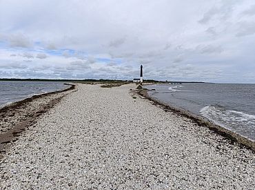 Казнённые на той ещё войне: в Эстонии переносят останки из братской могилы