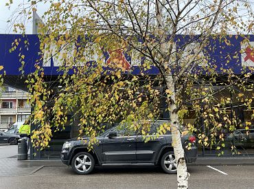 Только два дня, но зато каких! Позволь себе мегапокупки!