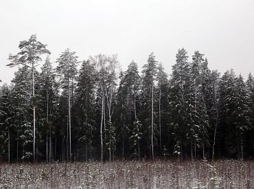 Конец ноября принесёт снег, дождь и гололедицу по всей Латвии
