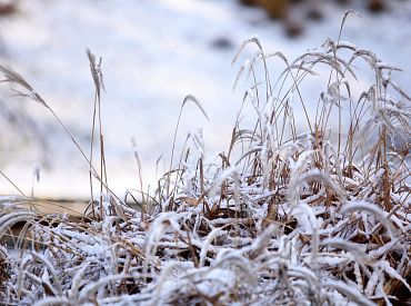 Зима придет на праздник. Снег возможен уже 18 ноября