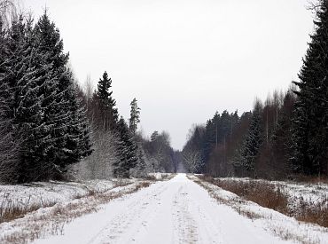«Без осадков и без ветра» — синоптики обещают ясный день