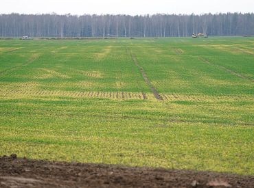 «Облаков много, но дождя почти нет» — обещают синоптики