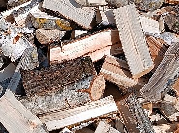 Дровам — гореть! Древесина останется зелёным ресурсом, а горючее не подорожает до 2028 года