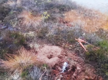 Хорошо, что не потравились: лесники случайно спровоцировали крупный выброс метана