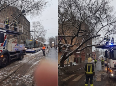 Упавшее дерево заблокировало движение трамваев в Риге