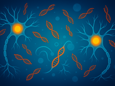 Учёные впервые остановили разрушение нервных клеток с помощью РНК