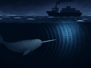 Арктика немеет: шум от судов заставил замолкнуть нарвалов