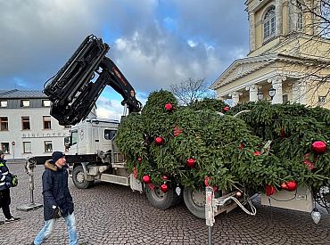 Поднял в воздух и повалил: Вентспилс остался без главной елки города? (ФОТО)