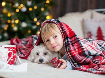 Ziemassvētku brīnuma sajūta ar OSSOV: Mājas, kurās dzīvo siltums