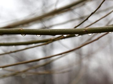 Осадки и ветер — по всей стране. Температура до +10 °C!