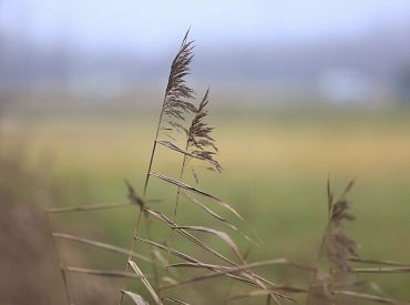 Погода на четверг: осадки прекратятся, но тепло останется